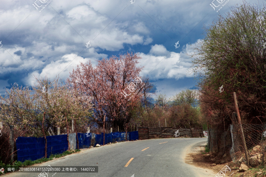 西藏林芝的公路