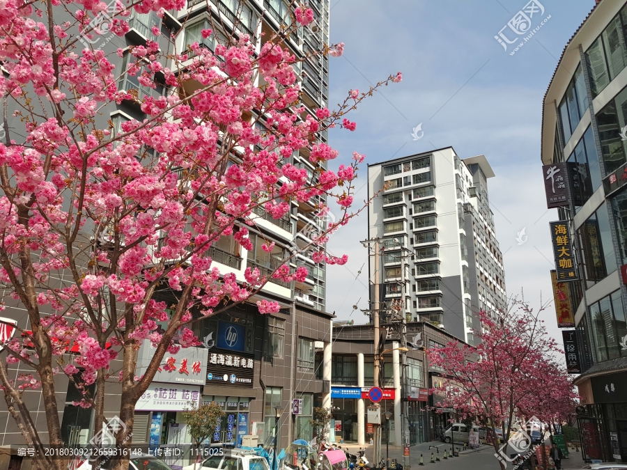 春天城市街景