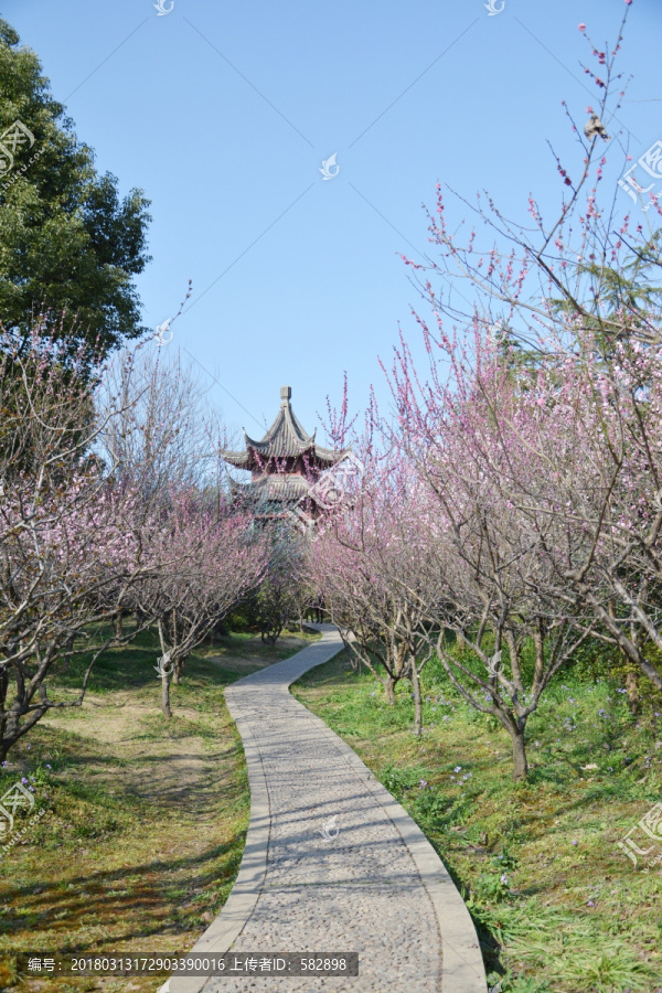 花间小径