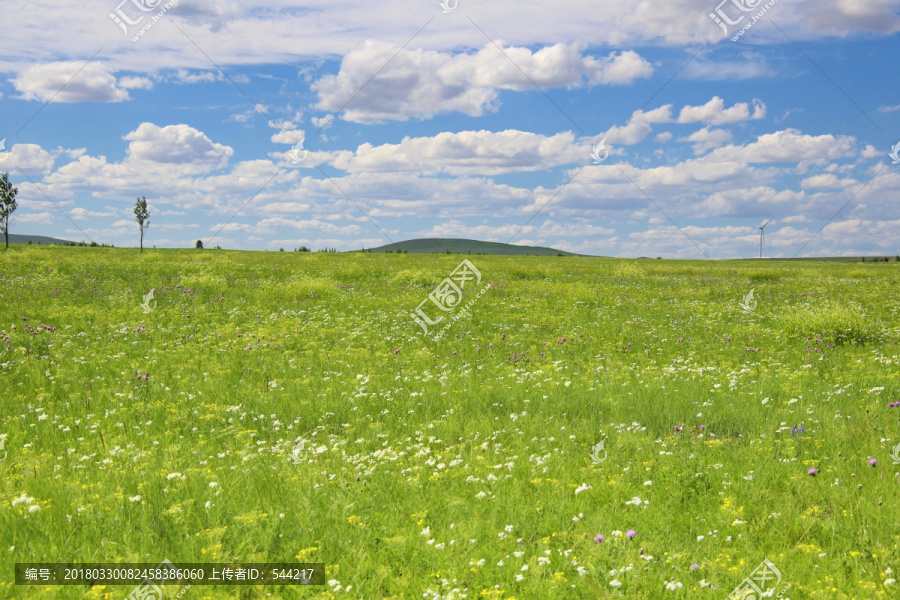 蓝蓝天下乌兰布统大草草原的美景