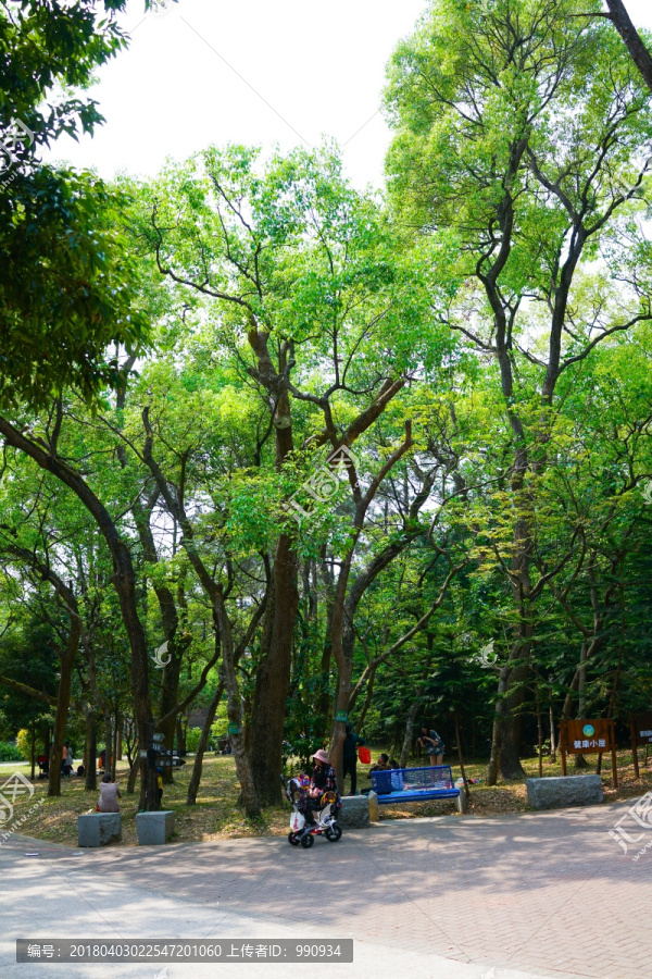 植物园,森林公园,阳江