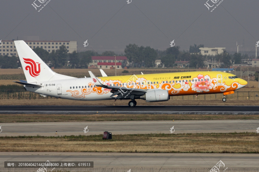 中国国际航空,彩绘飞机,黄牡丹