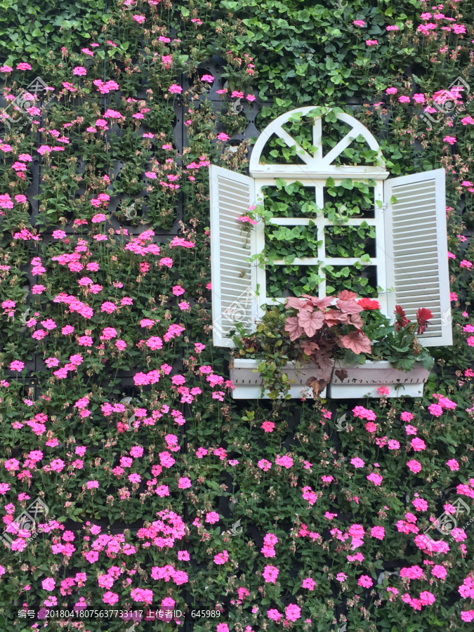 植物花墙