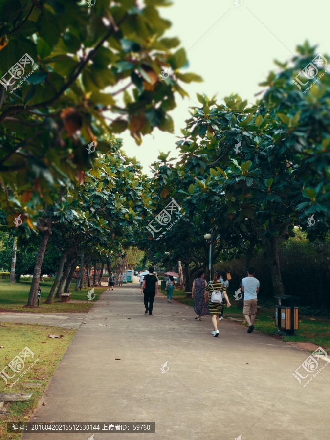 公园道路,海南海口金牛岭公园