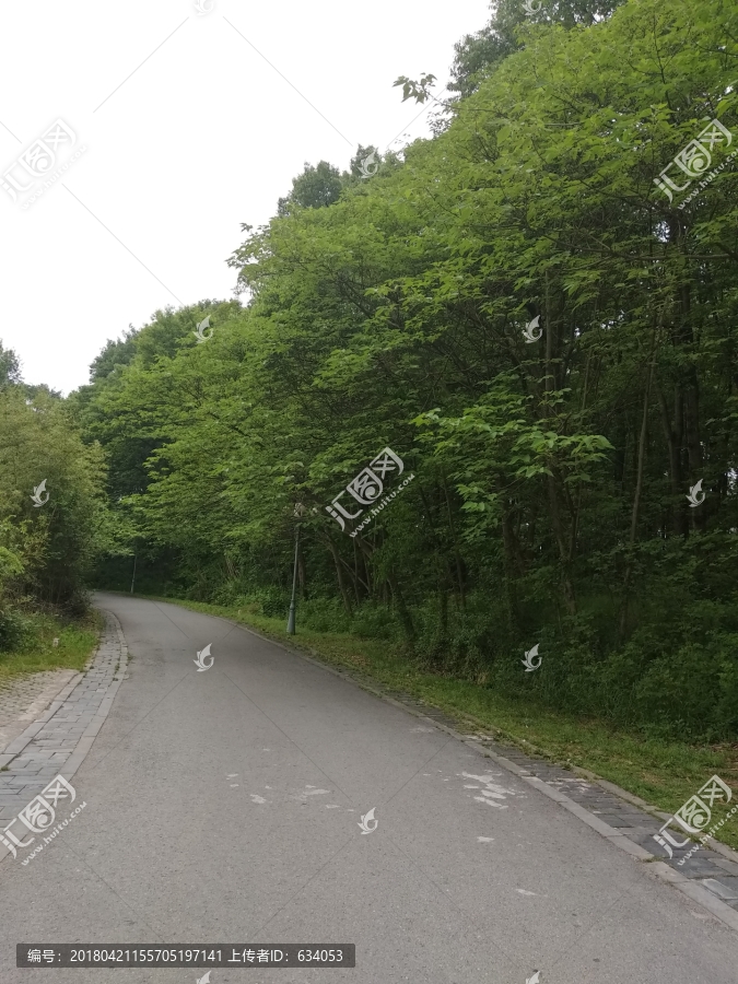 景区小路