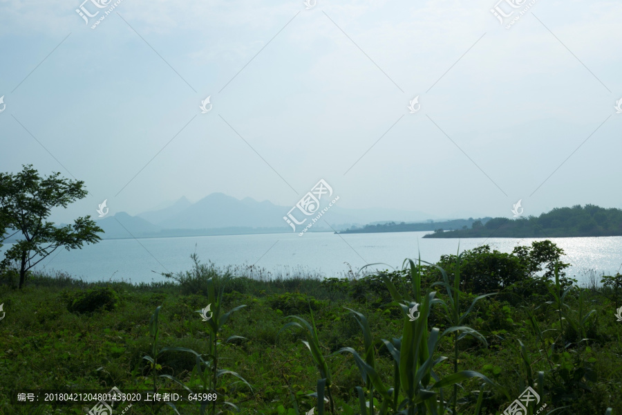 风景画