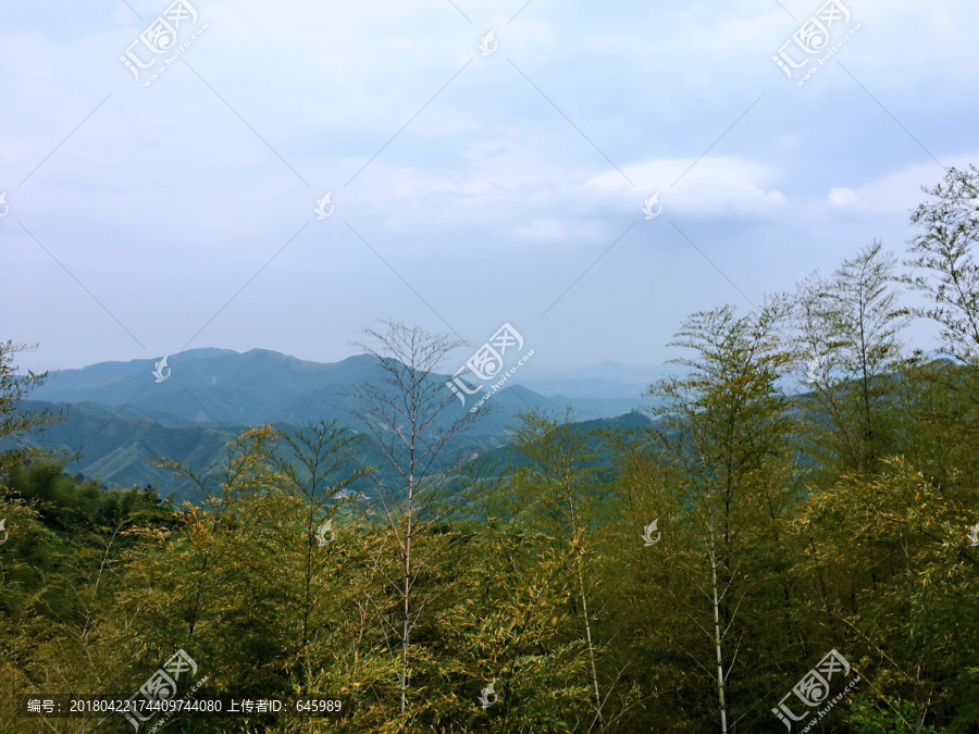 青山