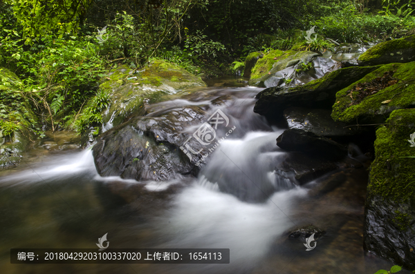 峡谷青苔溪流