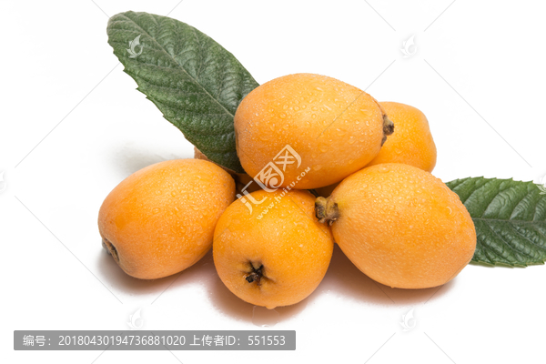 枇杷