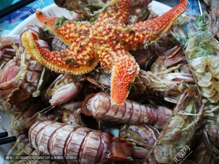 皮皮虾