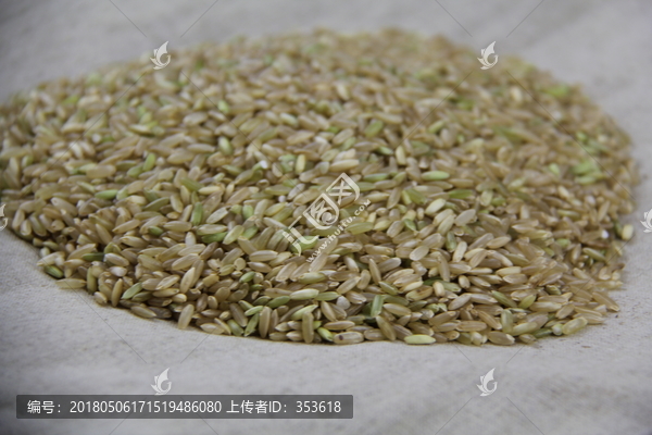 糙米,玄米,粗米,糙米饭,吃糙