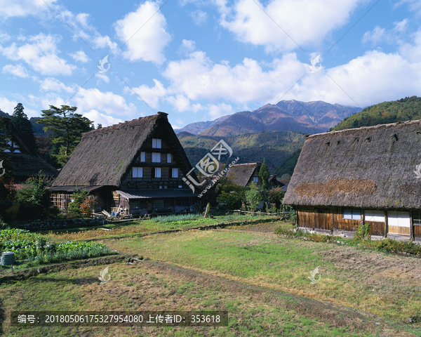 风景,四季,日本,田野,樱花