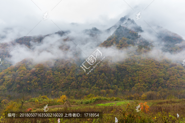 陕西秦岭太白山云海山水风光