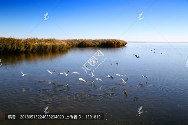 额济纳旗,居延海