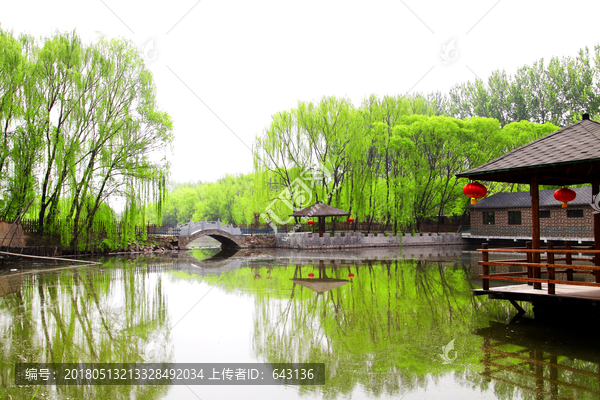 绿树成荫,碧水湾