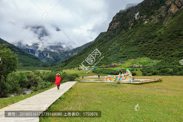 高山草甸风光