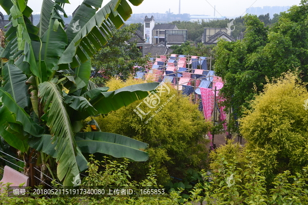 江南纺织布