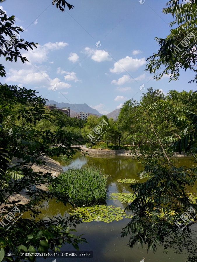 竹湖园公园,湖畔风景