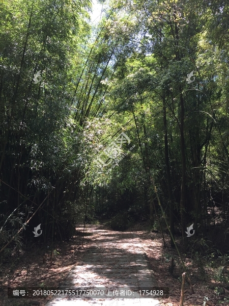 石门国家森林公园山水风景