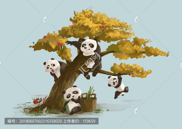 熊猫日常