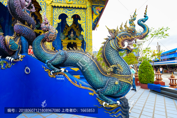龙