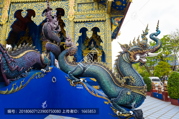 龙