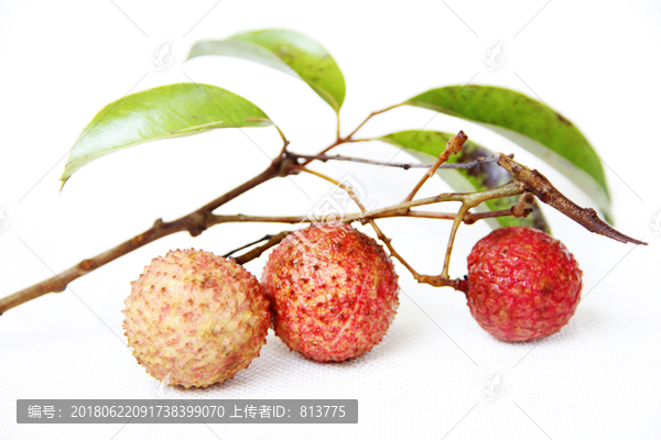 鲜荔枝