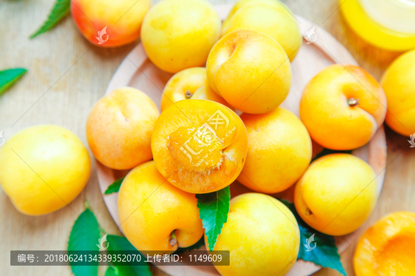 珍珠油杏
