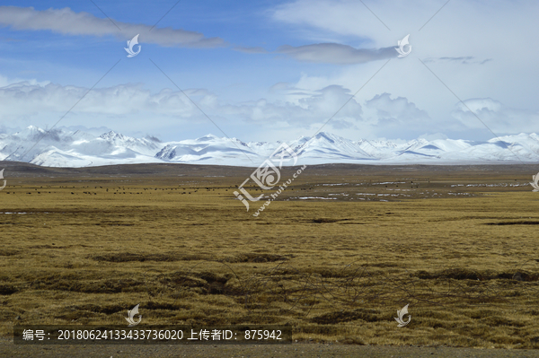 冰川雪山