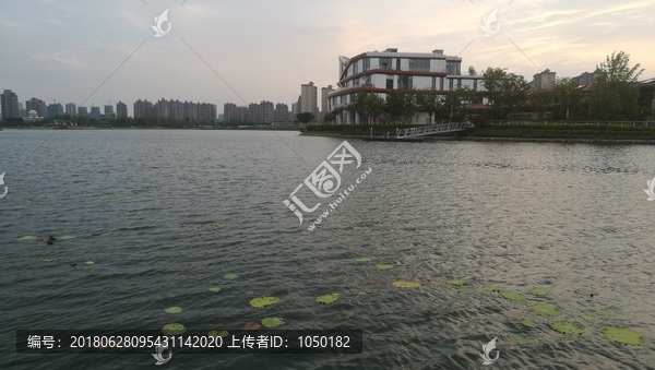 上海之鱼的黄昏