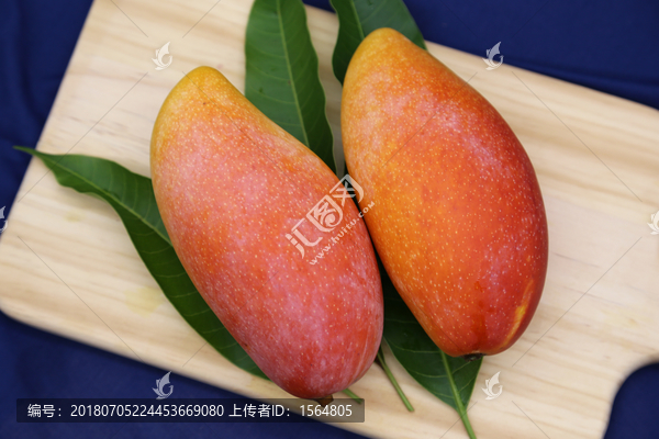 高清百色特产棚拍贵妃芒果