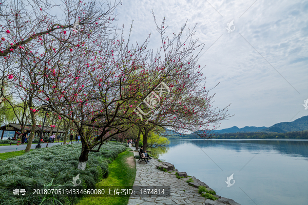 杭州西湖春天风光美景