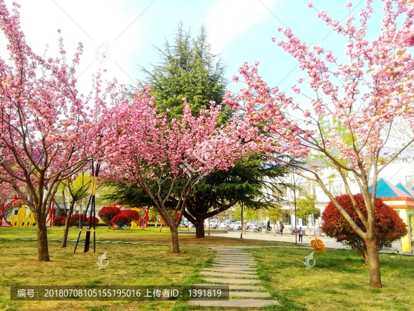 山东临沂莒南县城春色