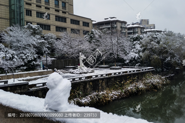 美丽的雪景