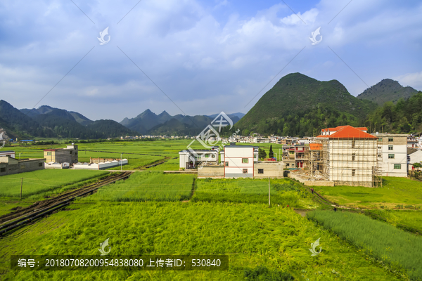 广西水稻田