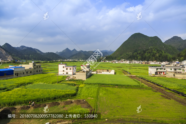 广西水稻田
