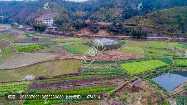 航拍江西赣州农村田园风光