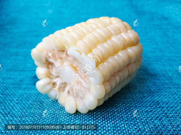 熟玉米素材