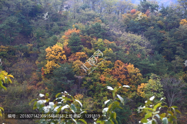 山东青岛崂山寨上秋色