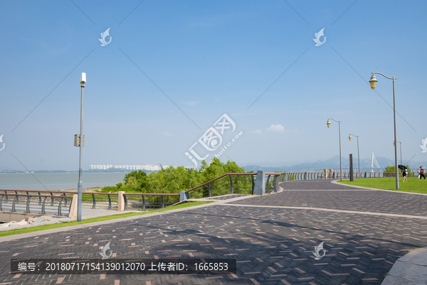 深圳湾公园