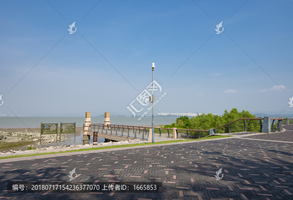 海滨公园