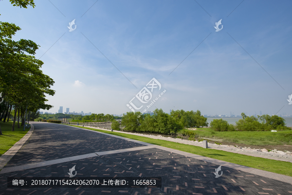 深圳红树林