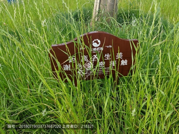 公园指示牌