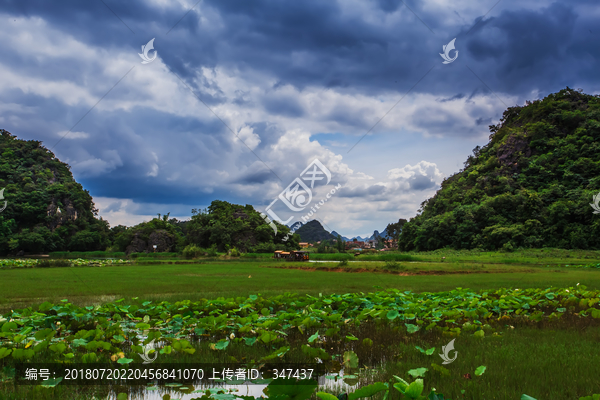 普者黑风景