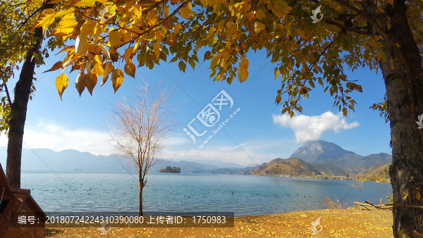 泸沽湖框景