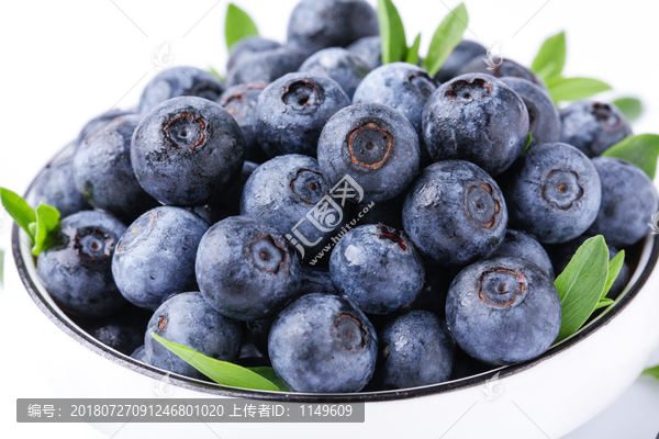 高清蓝莓