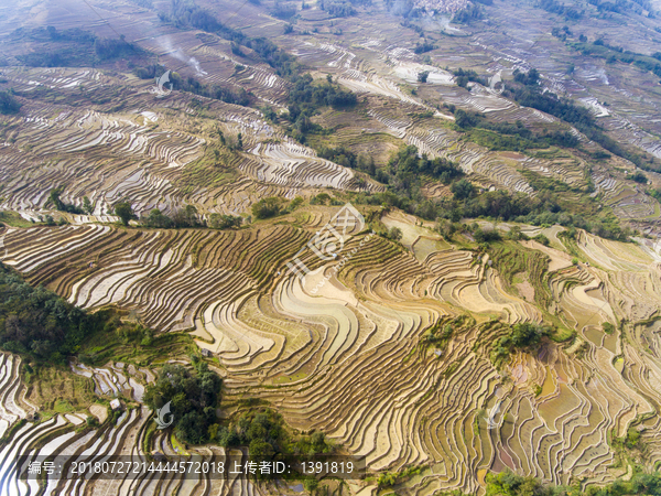 云南红河元阳梯田坝达景点