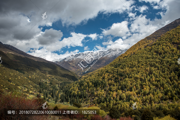 四姑娘山