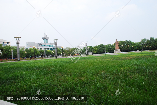 广场草坪