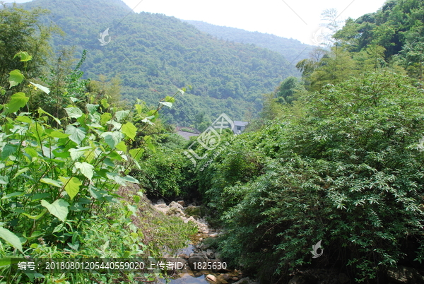 山水风景